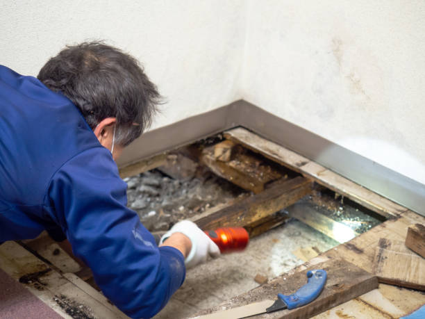 Home Mold Removal in Washington, KS