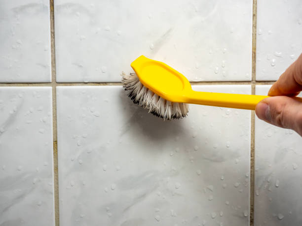 Best Same-Day Mold Removal  in Washington, KS