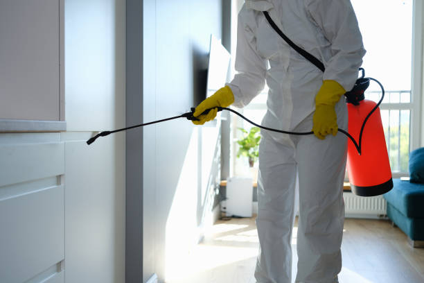 Best Certified Mold Removal  in Washington, KS