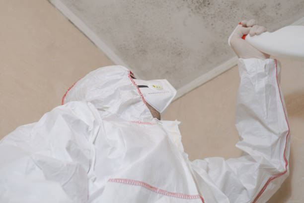 Best Residential Mold Removal  in Washington, KS