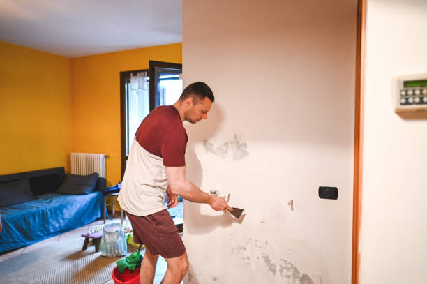 Best Best Mold Removal Companies  in Washington, KS